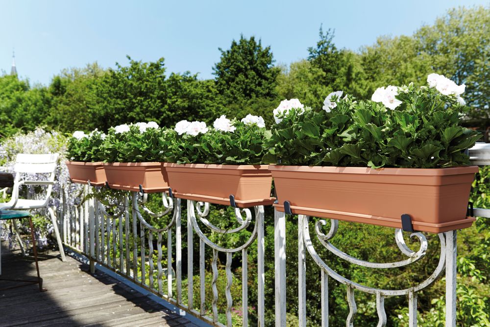 Green Basics Balkonbak Schotel 60