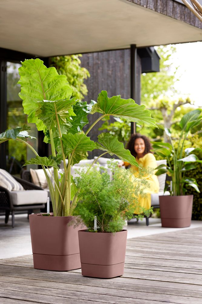 Greensense Aqua Care Vierkant 38