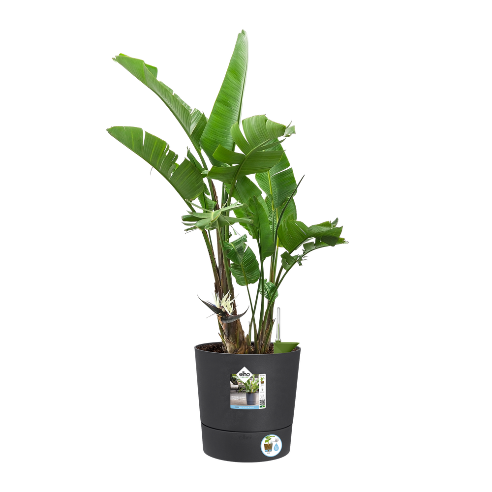 Greensense Aqua Care Rond 30