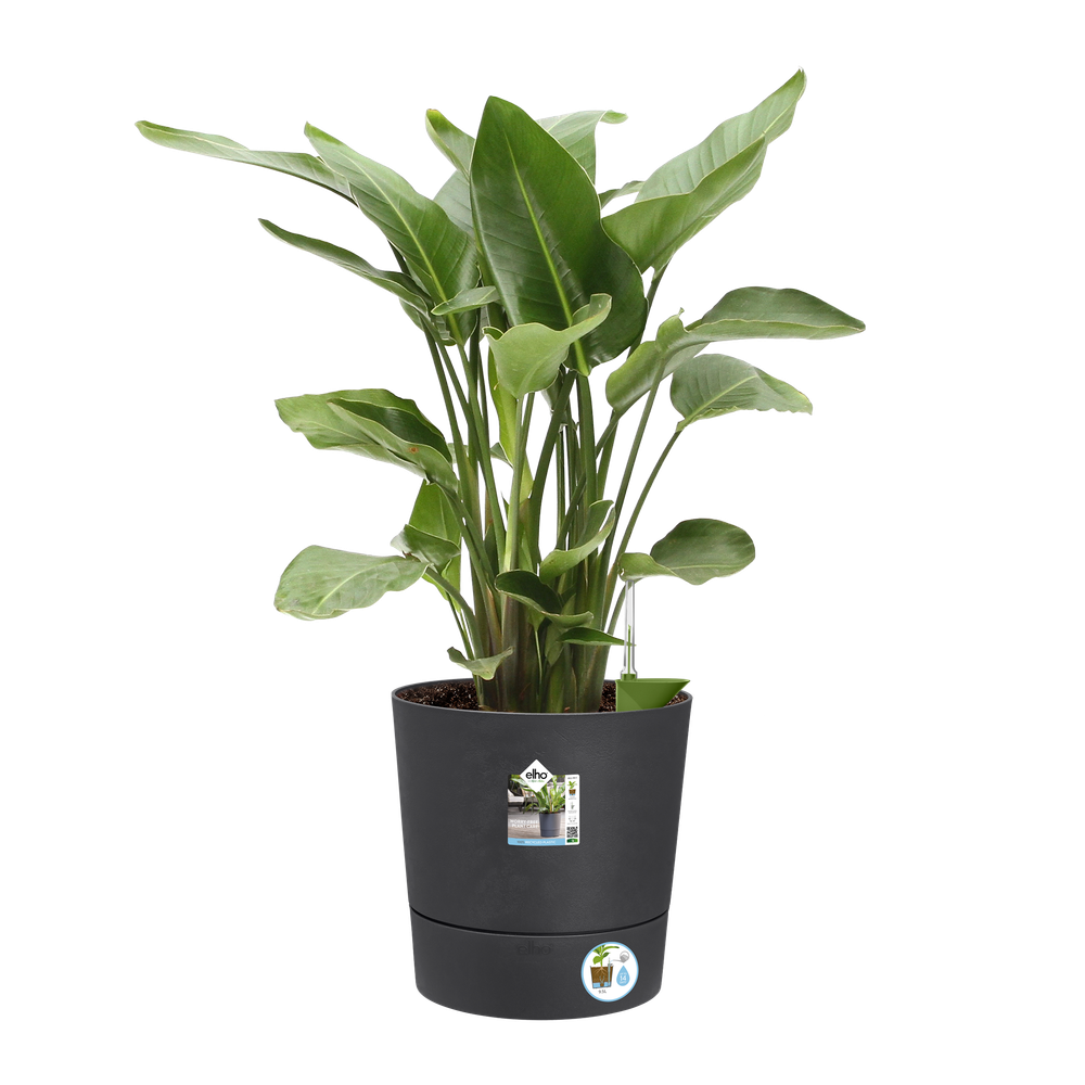 Greensense Aqua Care Rond 43