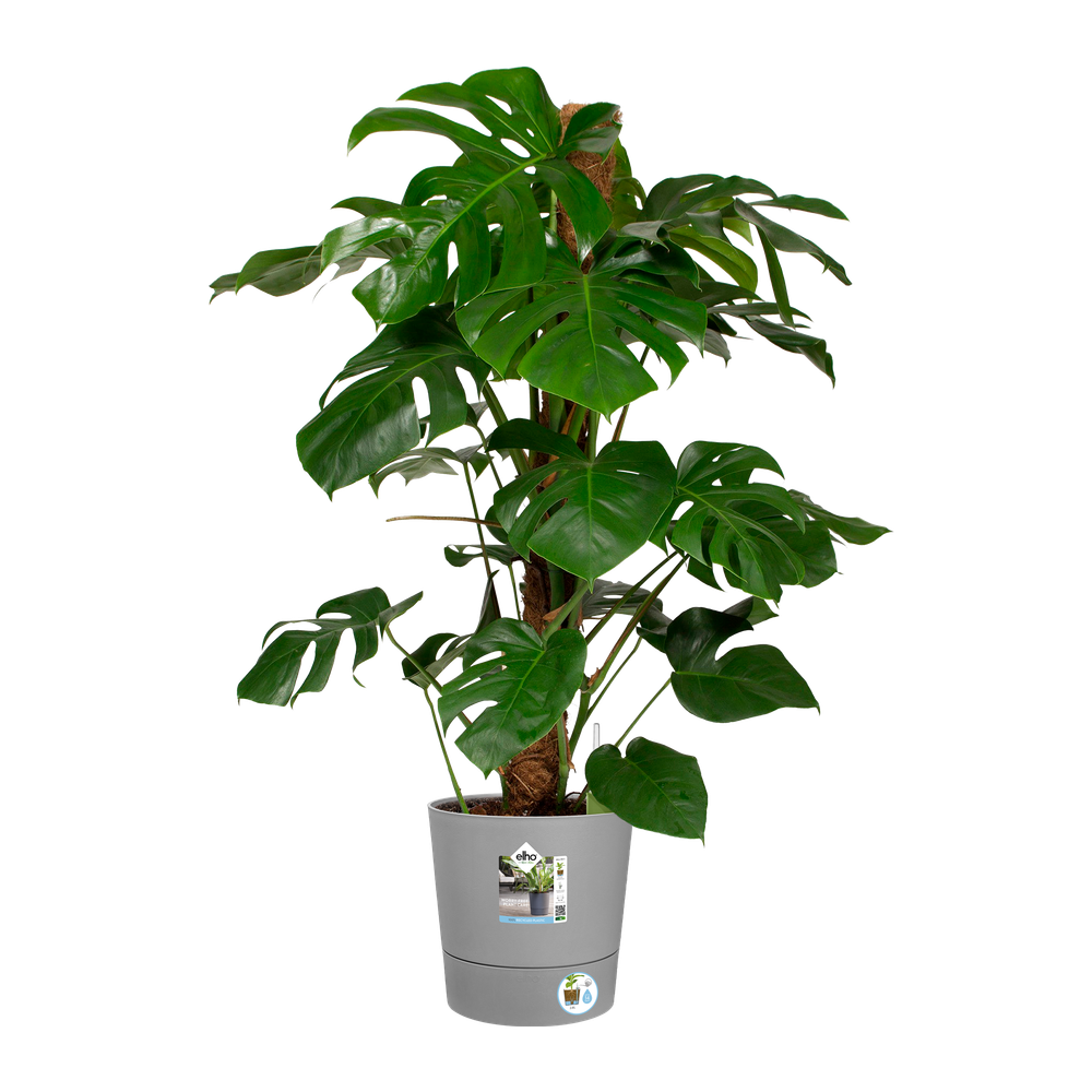 Greensense Aqua Care Rond 30