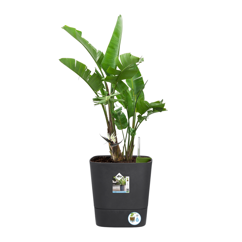 Greensense Aqua Care Vierkant 38