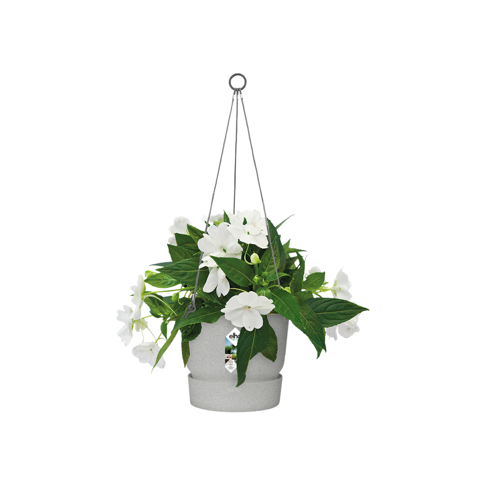Greenville Hanging Basket 24
