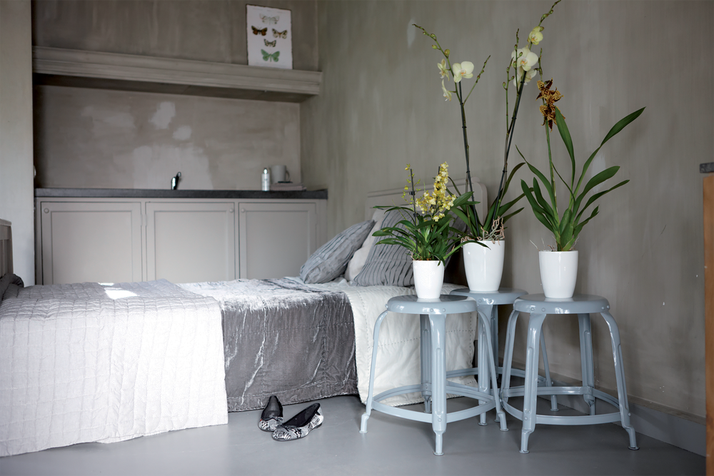 Brussels Diamond Orchidee Hoog 12,5