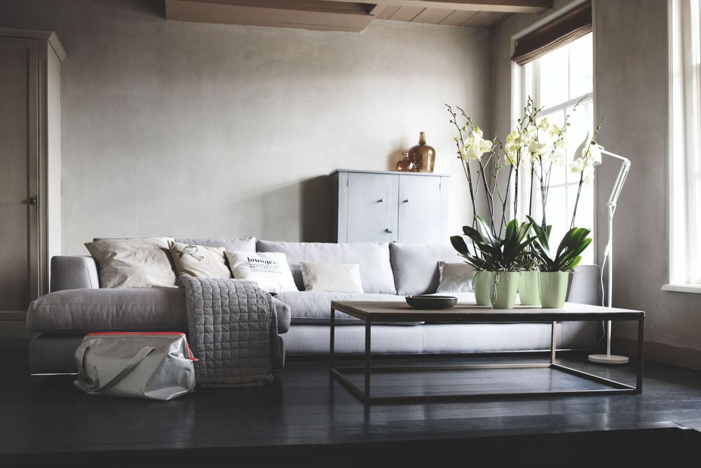 Brussels Diamond Orchidee Hoog 12,5