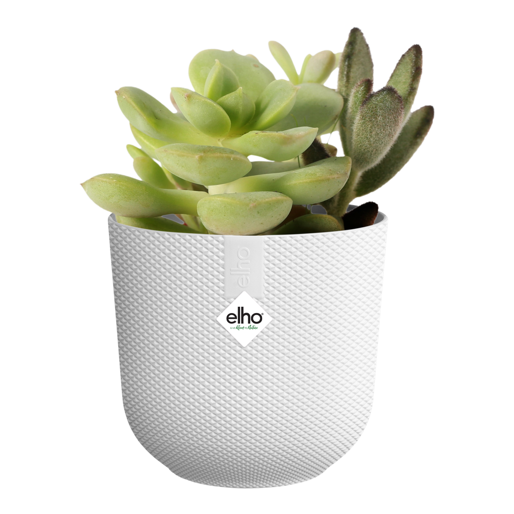 Jazz Rond Mini 9