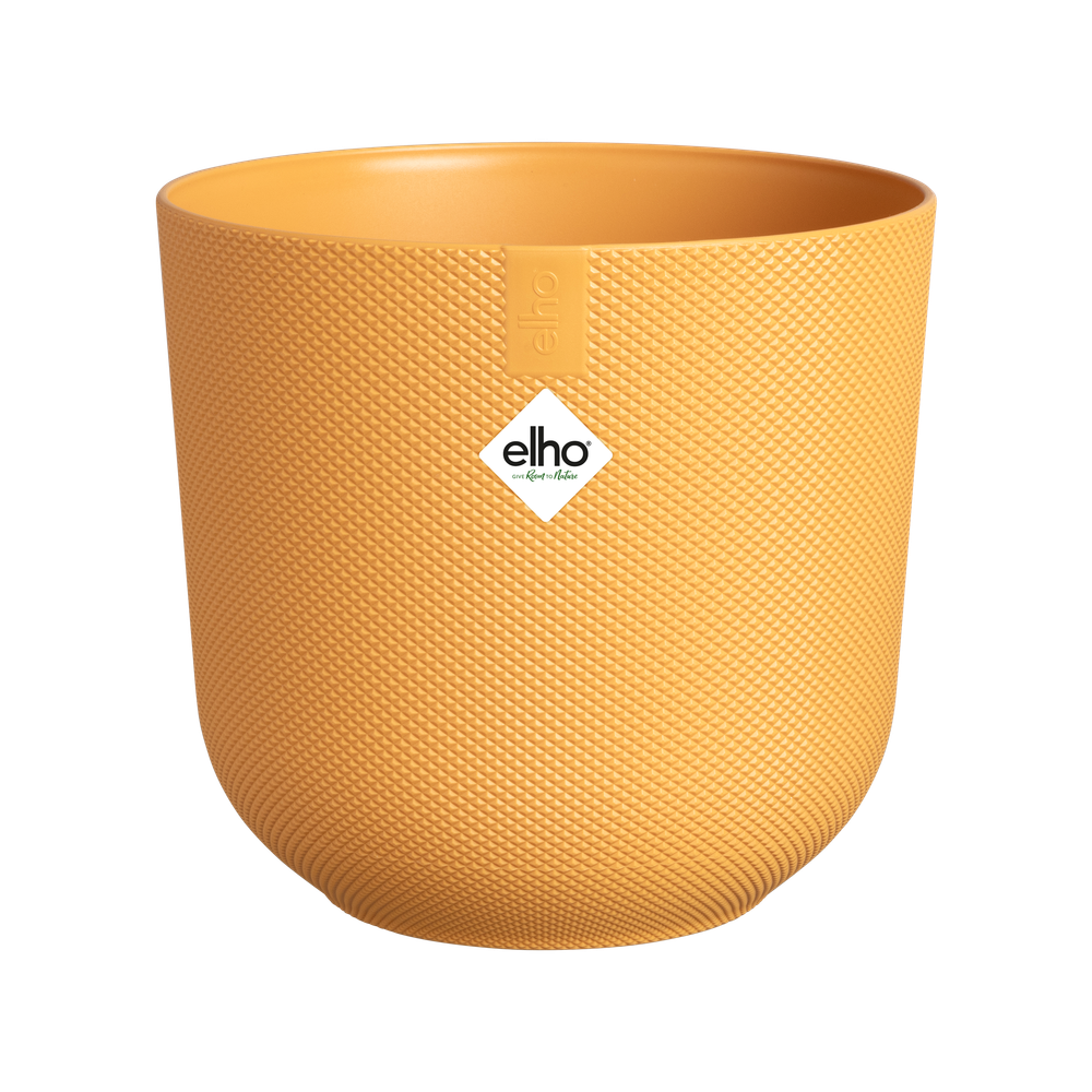 Jazz Rond Mini 9