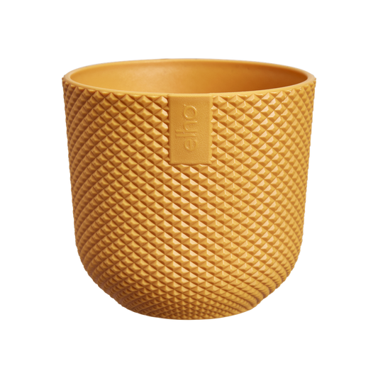 Jazz Rond Mini 7