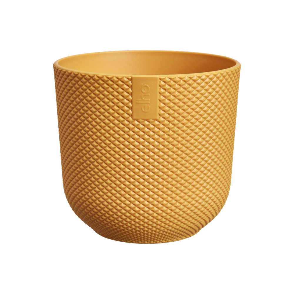 Jazz Rond Mini 11