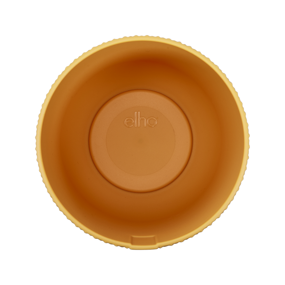 Jazz Rond Mini 9
