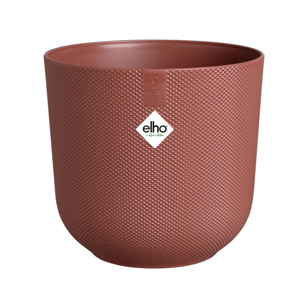 Jazz Rond Mini 11