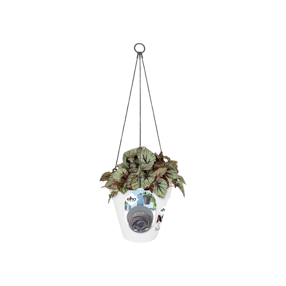 Loft Urban Hangschaal 20