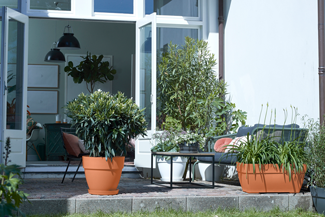 Loft Urban Schotel Rond 17