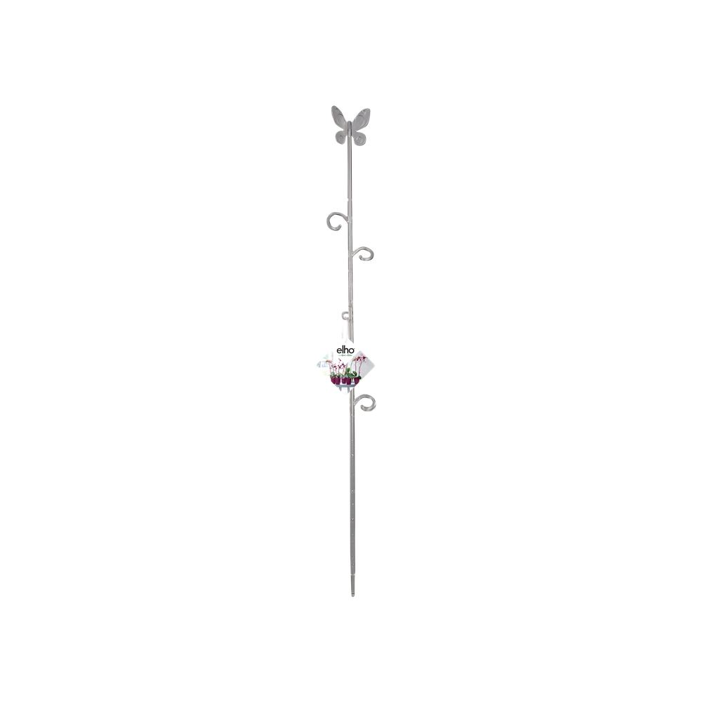 Orchideco Vlinder 53