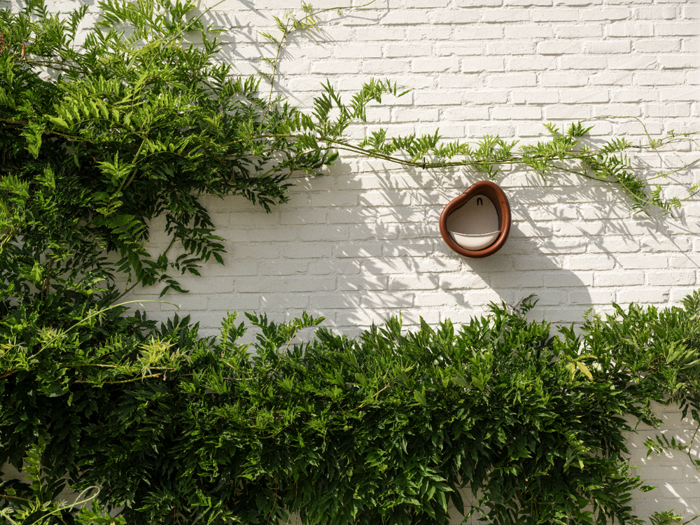 Organic Bird Feeder 25