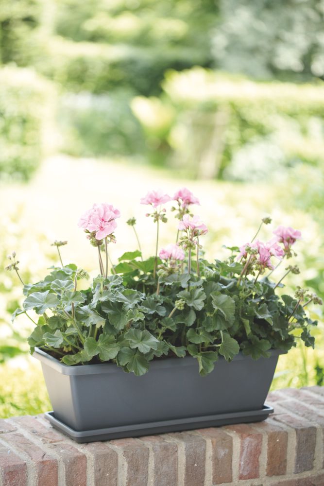 Barcelona Balkonbak Schotel 50