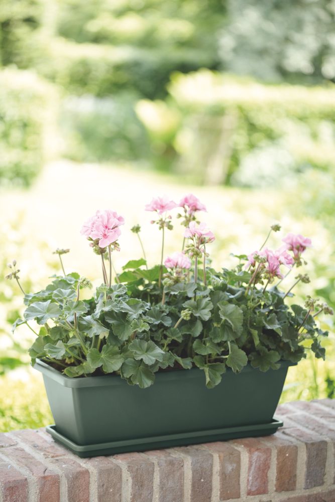 Barcelona Balkonbak Schotel 50