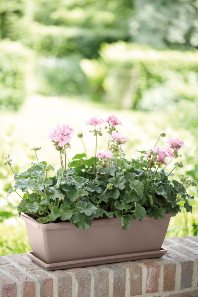 Barcelona Balkonbak Schotel 50