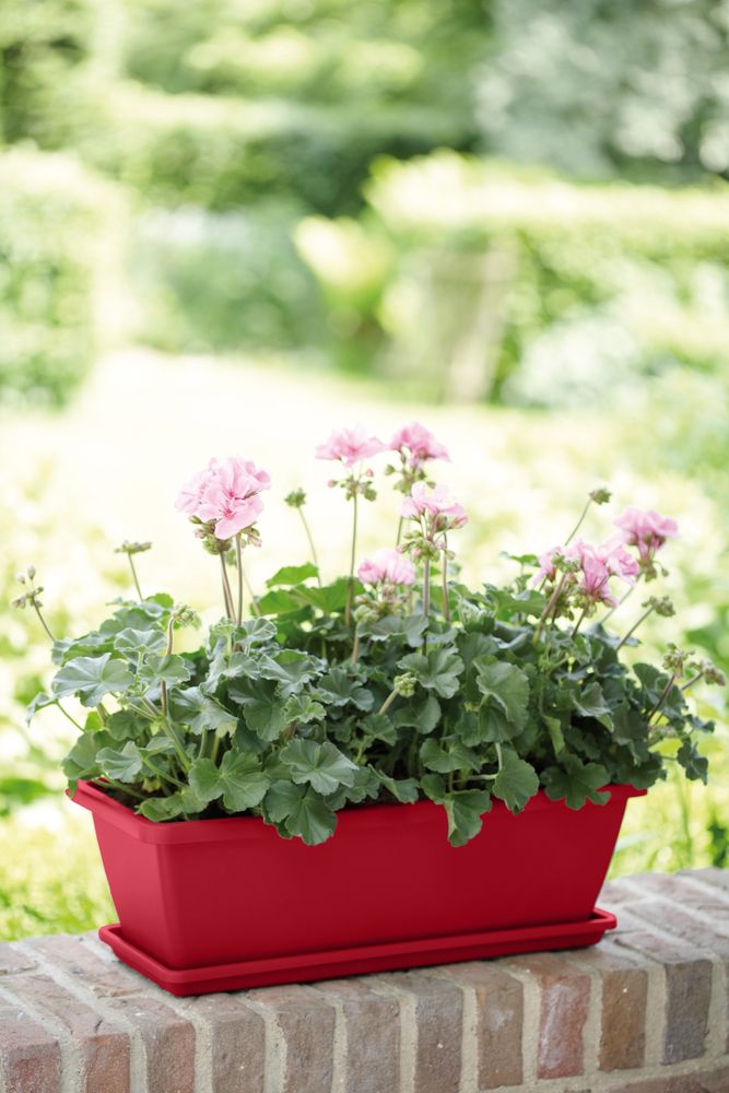 Barcelona Balkonbak Schotel 50