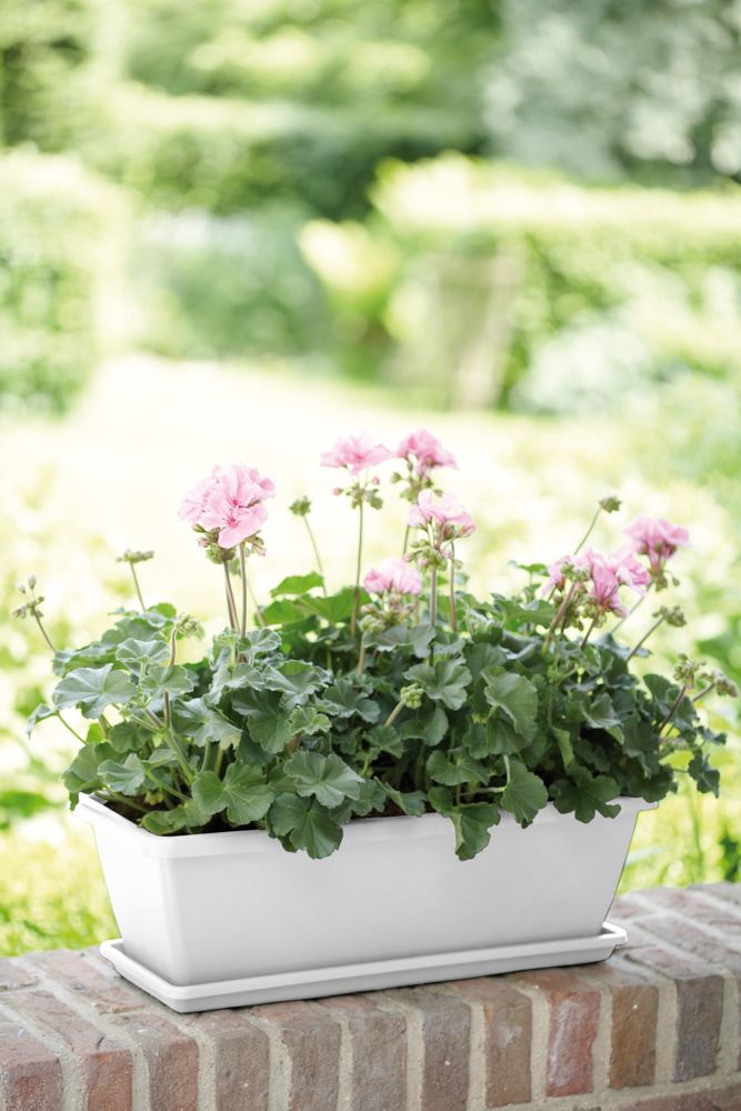 Barcelona Balkonbak Schotel 50