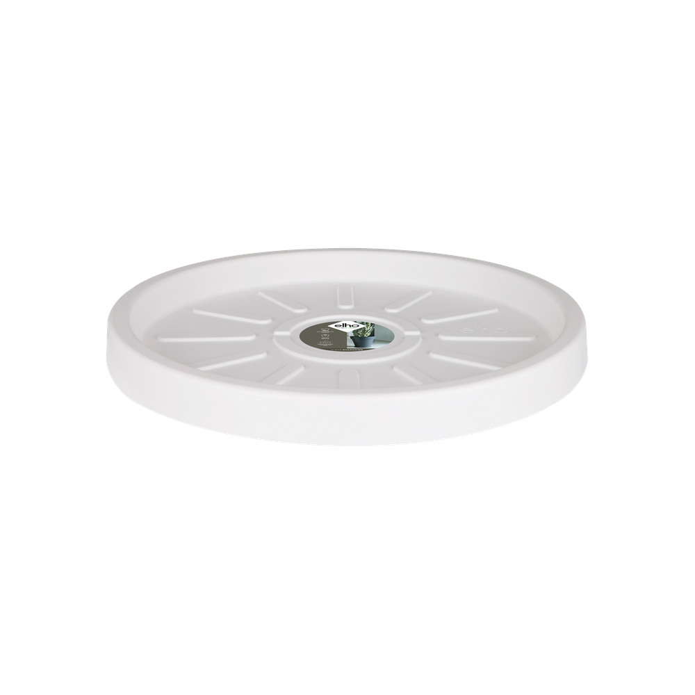 Pure Saucer 55
