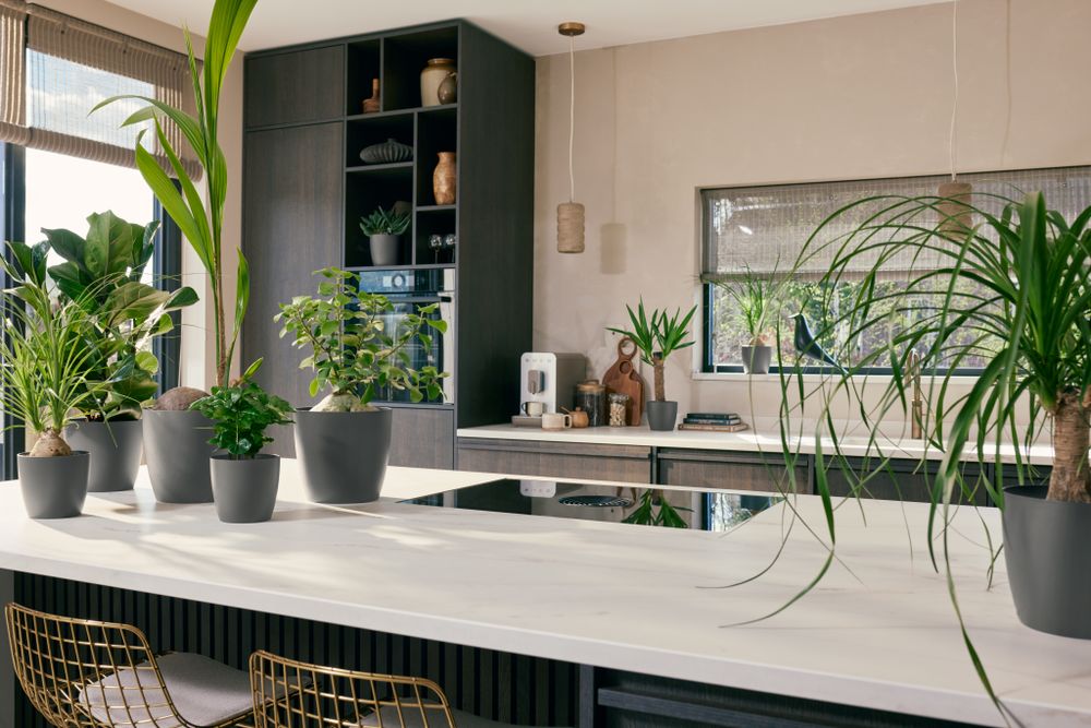 The Coffee Collection Rond 16