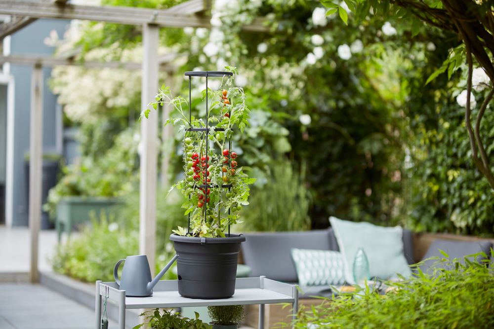 Green Basics Tomaten Pot 33