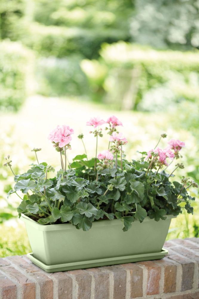 Barcelona Balkonbak Schotel 50