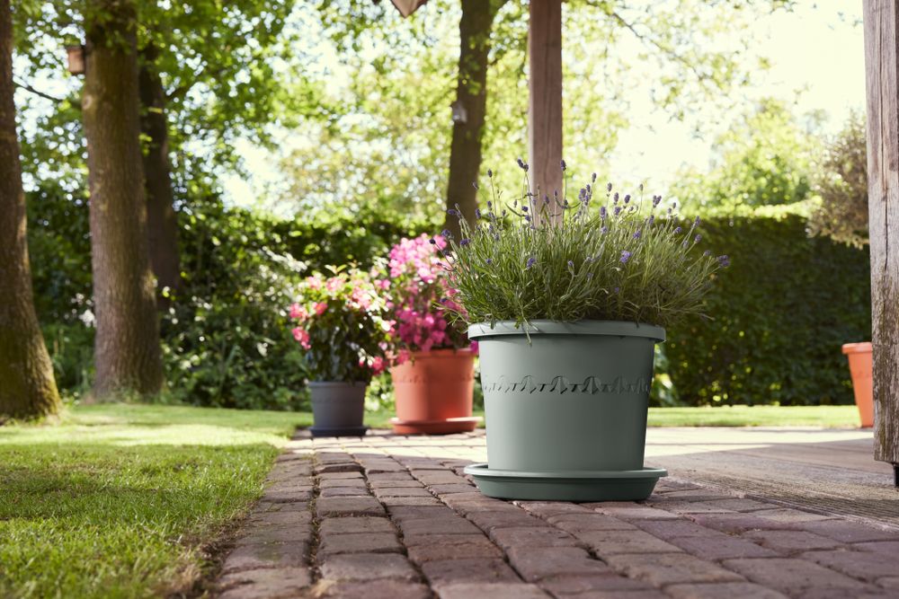 Universele Schotel Rond 25
