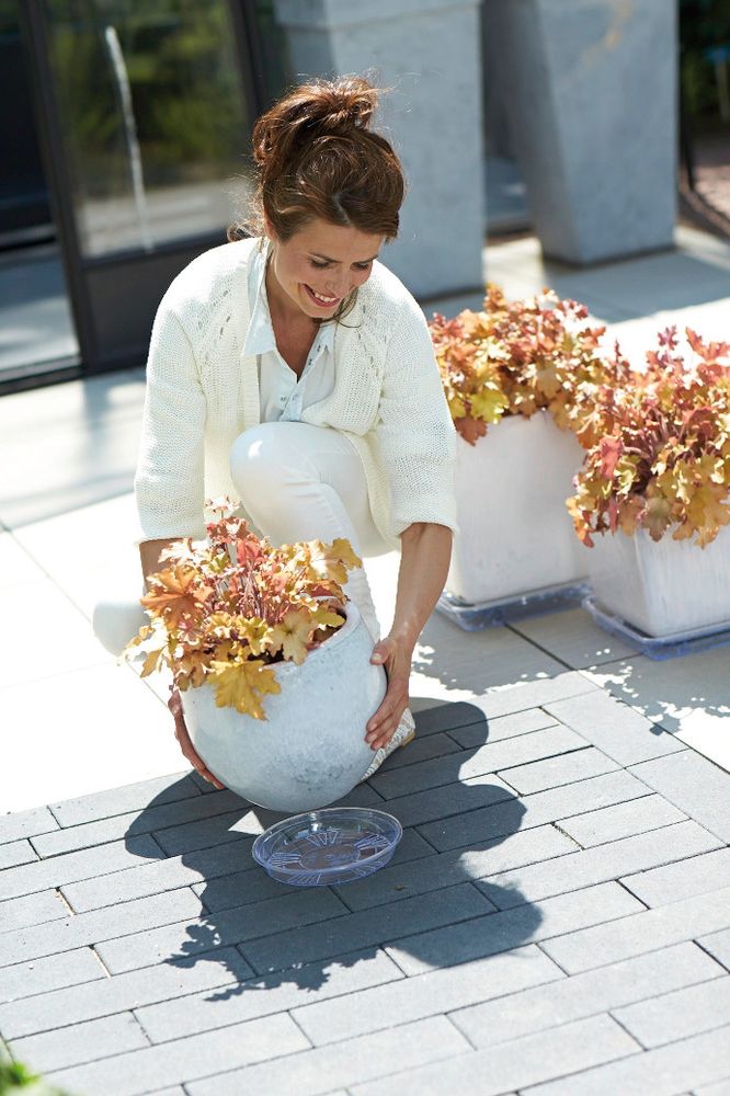 Universele Schotel Rond 25