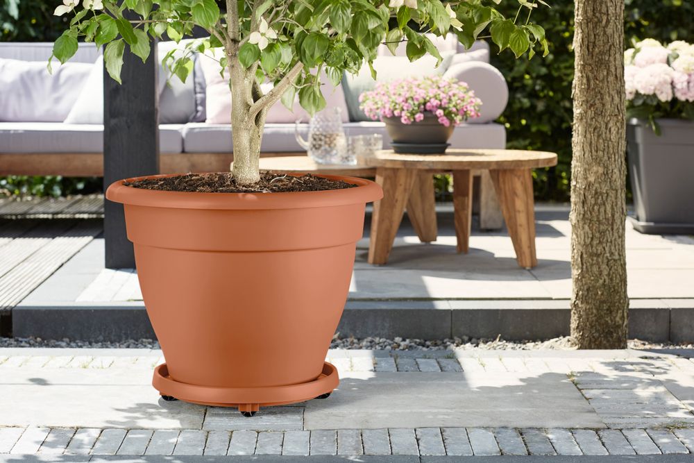 Universele Planttaxi 40