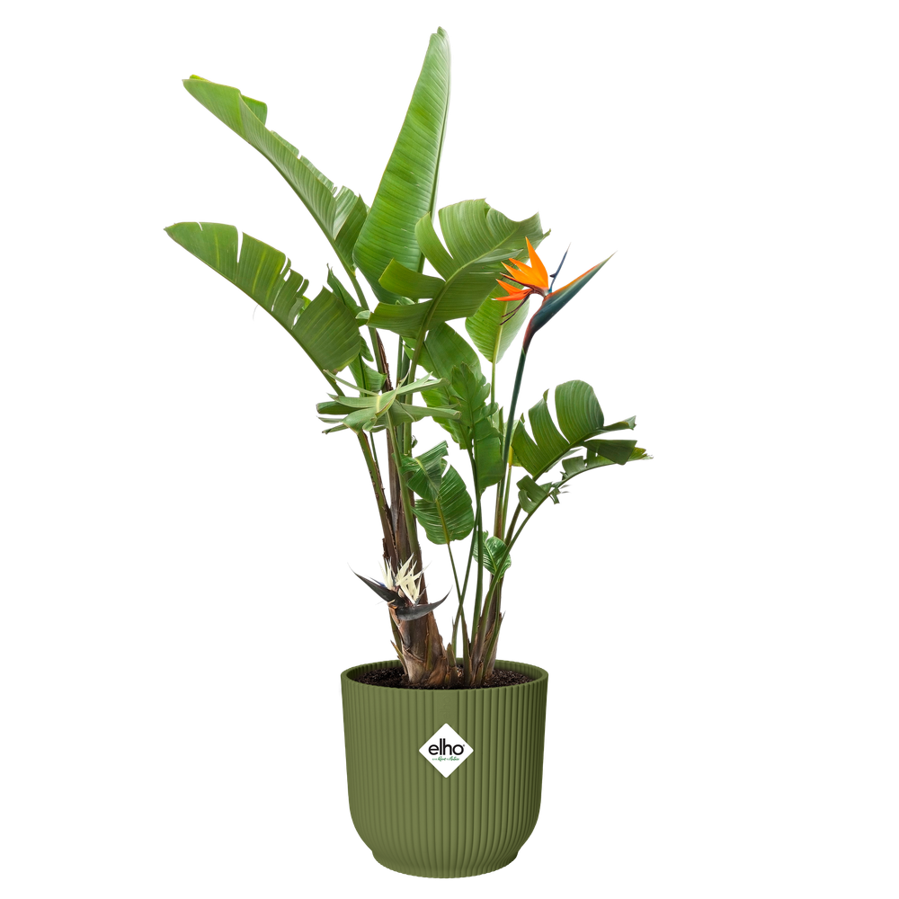 Vibes Fold Rond 40