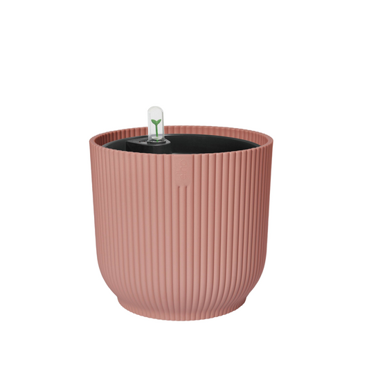 BNDL Vibes Fold Rond 22+swi 21