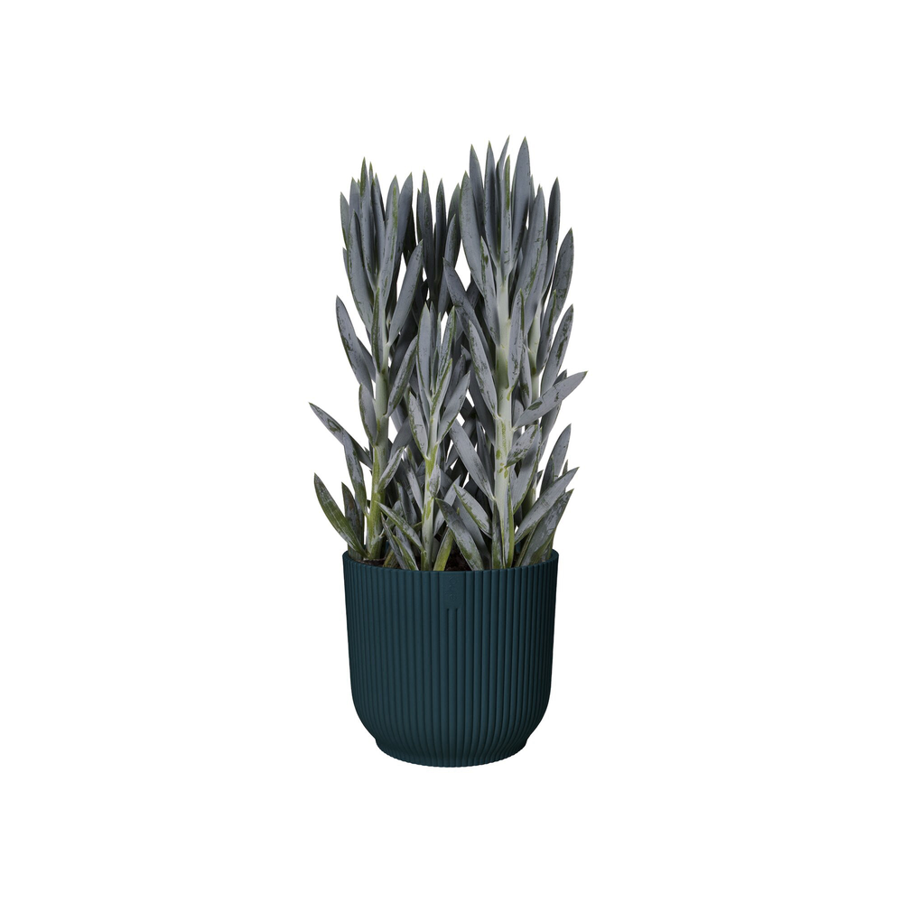 Vibes Fold Rond 30