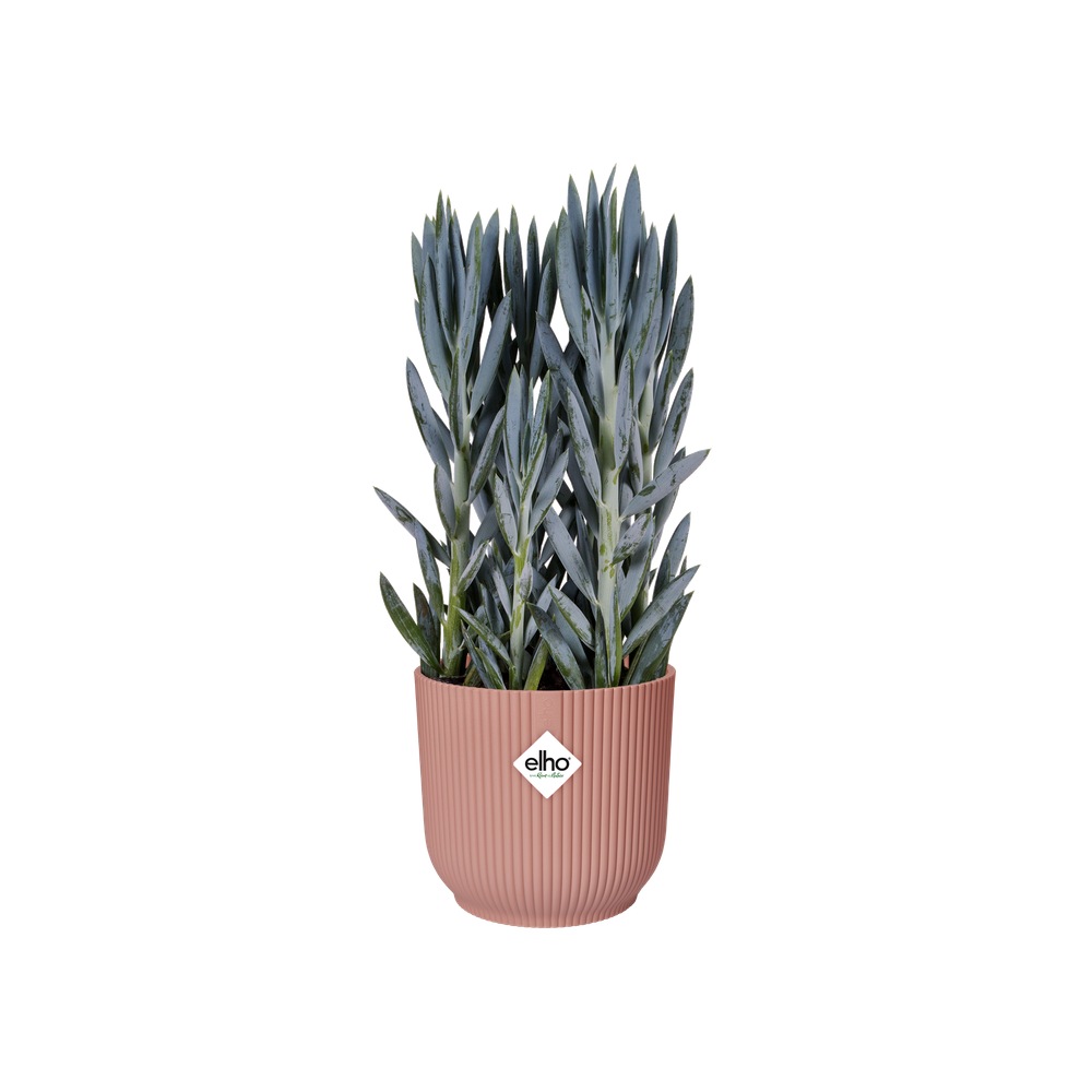 Vibes Fold Rond 22