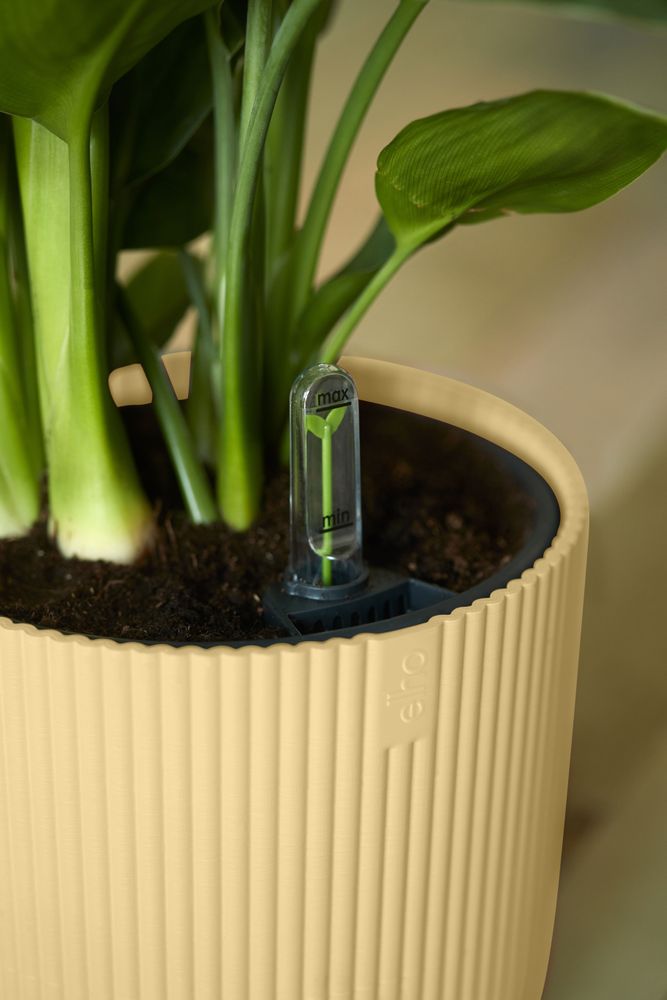 Vibes Fold Rond 22