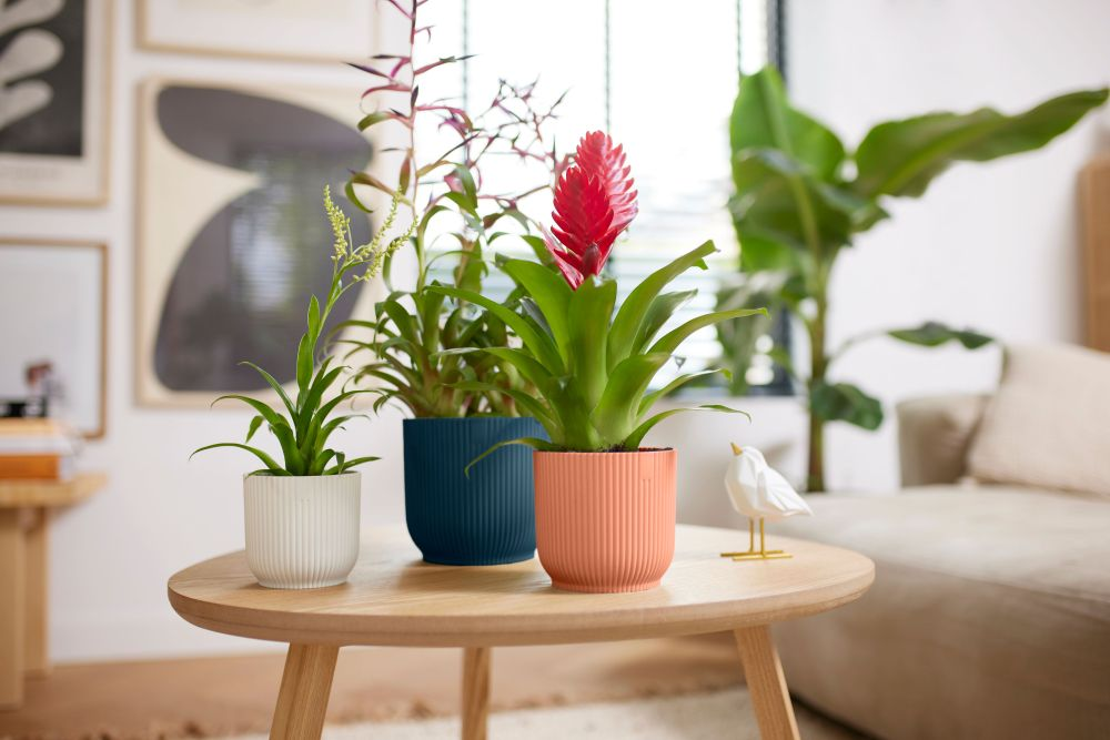 Vibes Fold Rond Mini 9