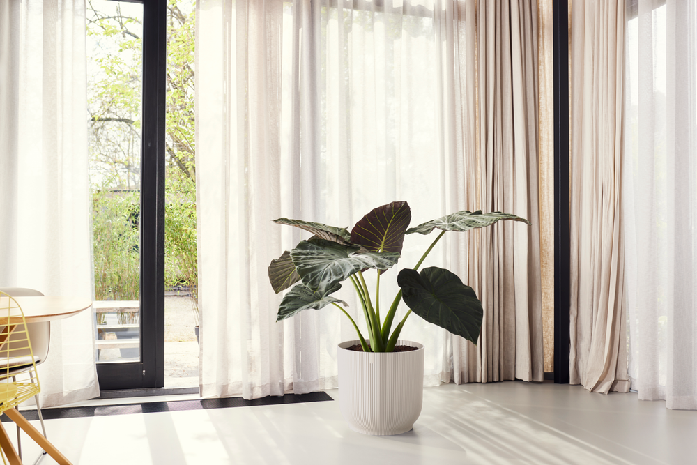 Vibes Fold Rond 47