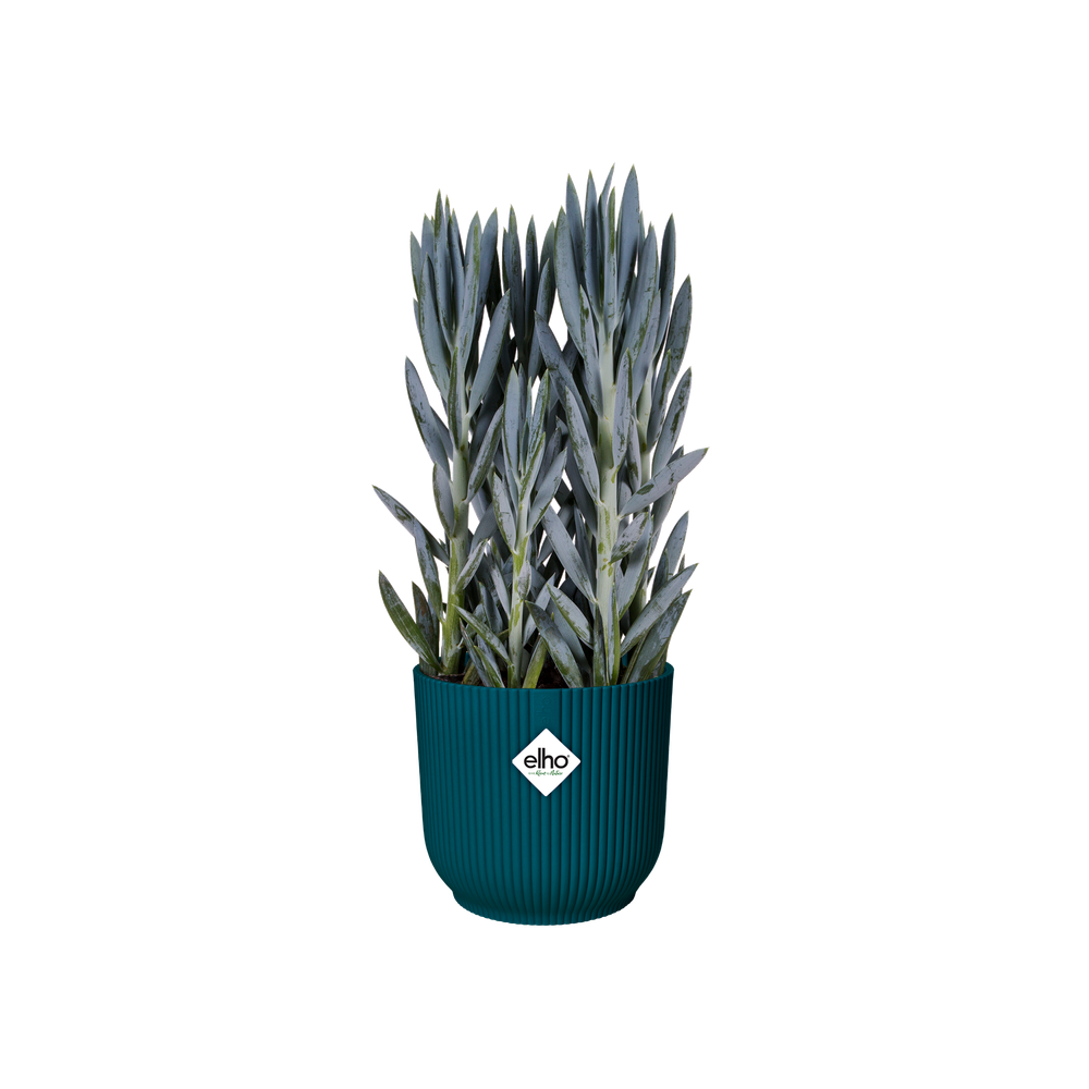 Vibes Fold Rond Wielen 35