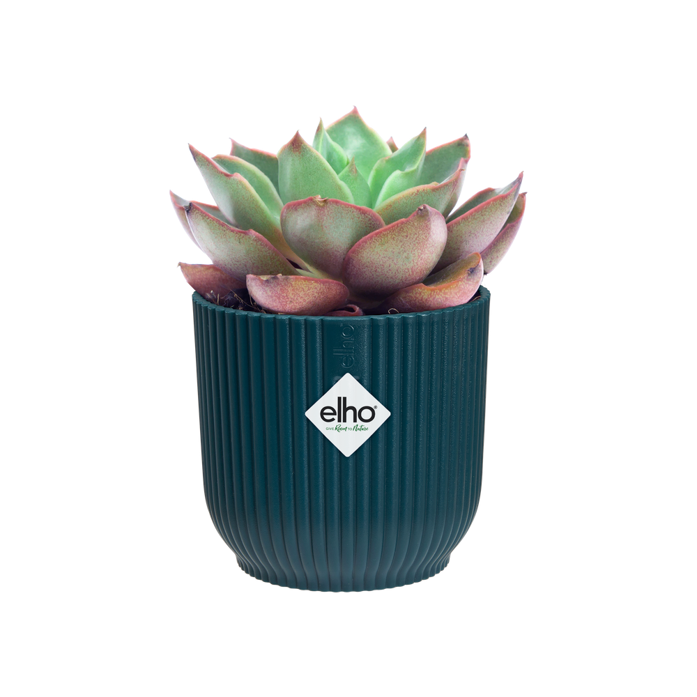 Vibes Fold Rond Mini 7