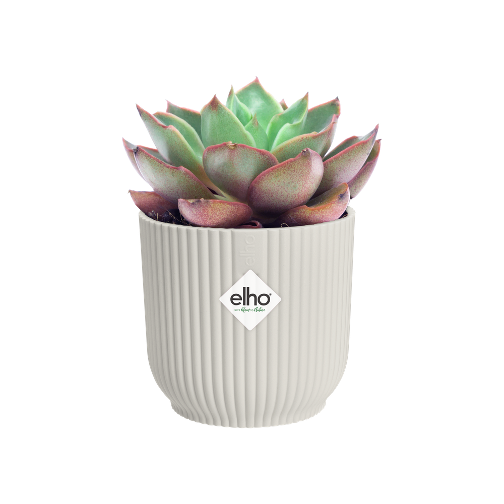 Vibes Fold Rond Mini 11