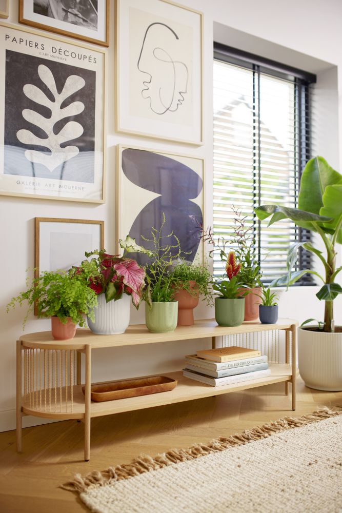 Vibes Fold Rond 25