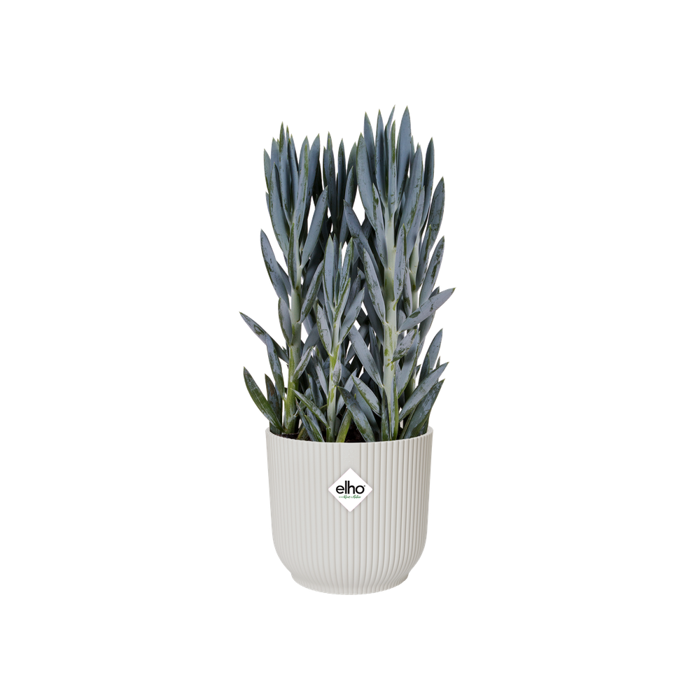 Vibes Fold Rond Wielen 35