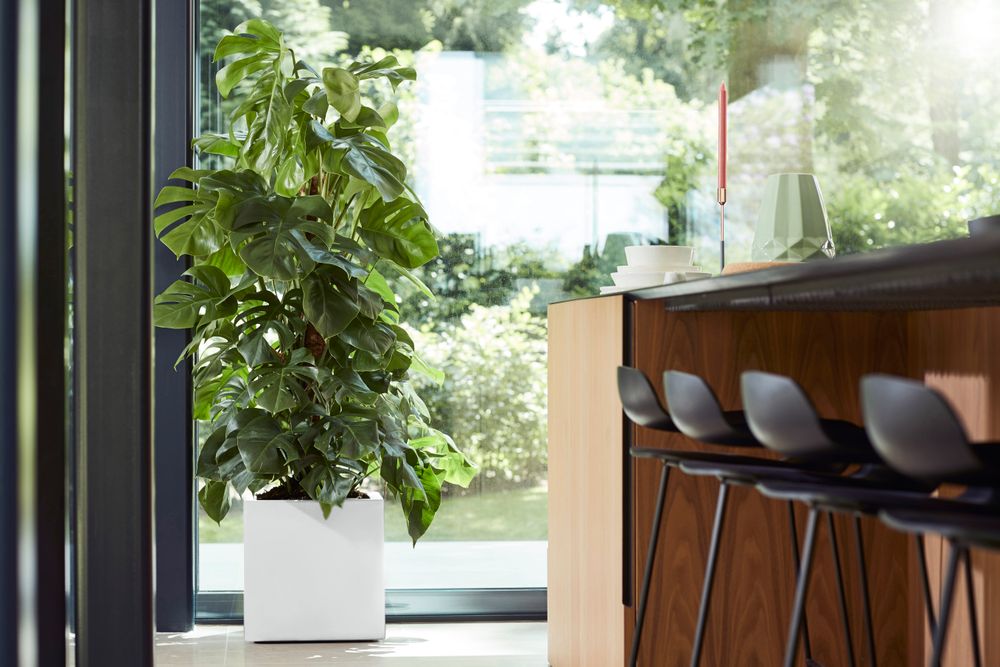 Vivo Matt Finish Vierkant Wielen 40
